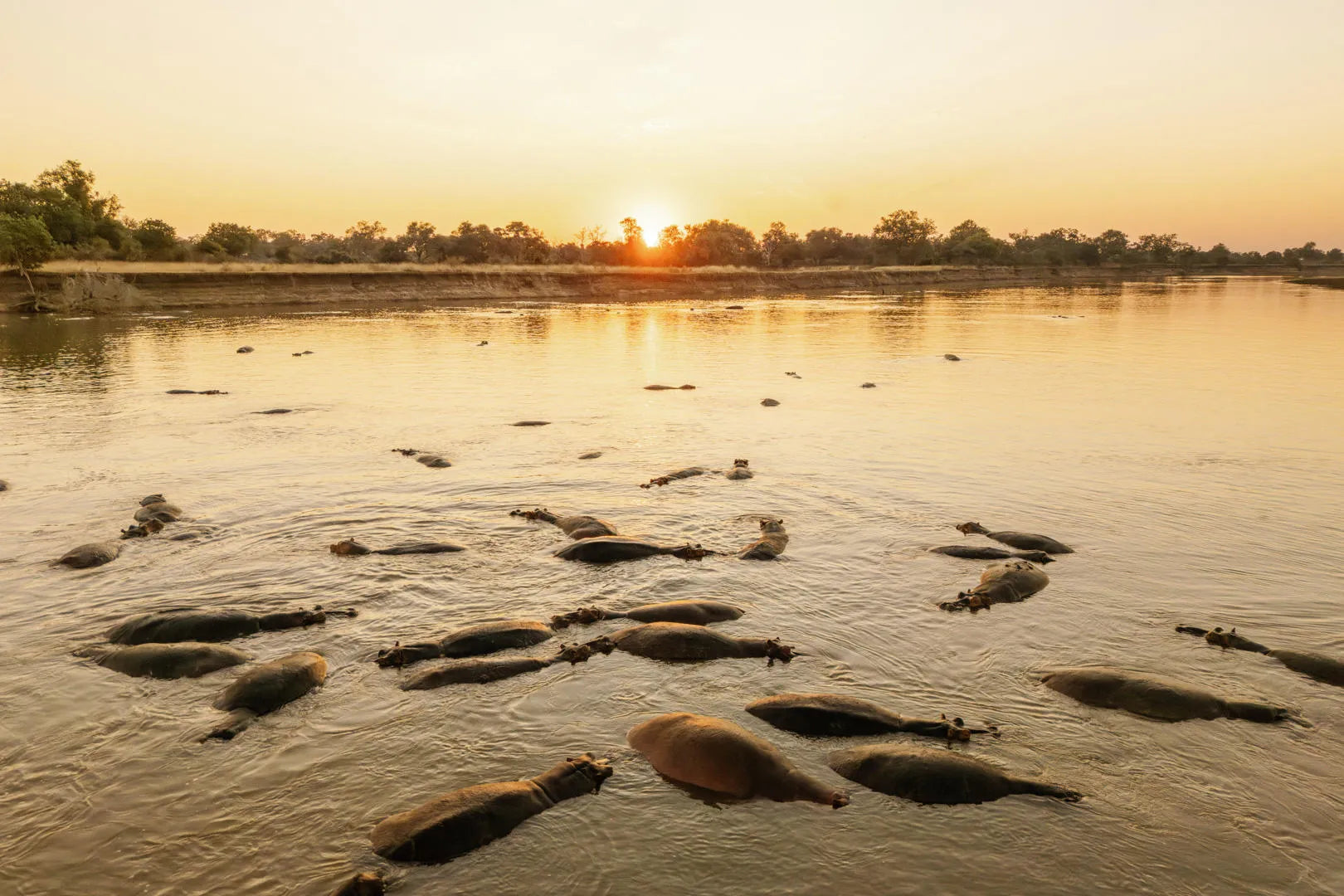 Time + Tide Kakuli, South Luangwa National Park, Zambia gallery image 9.