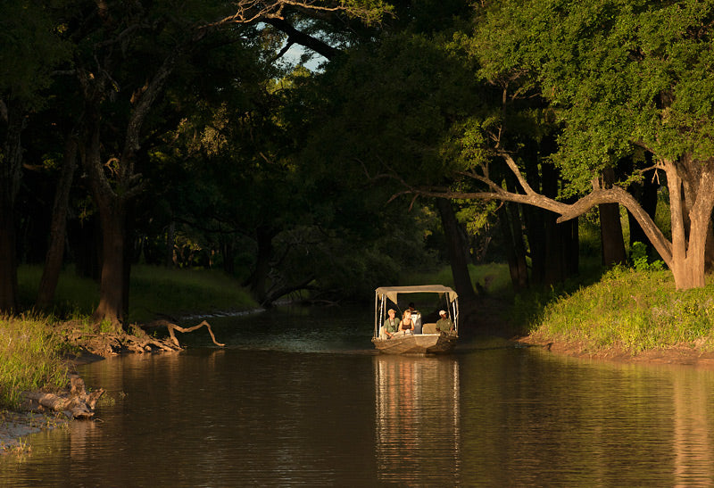 Boating Safaris