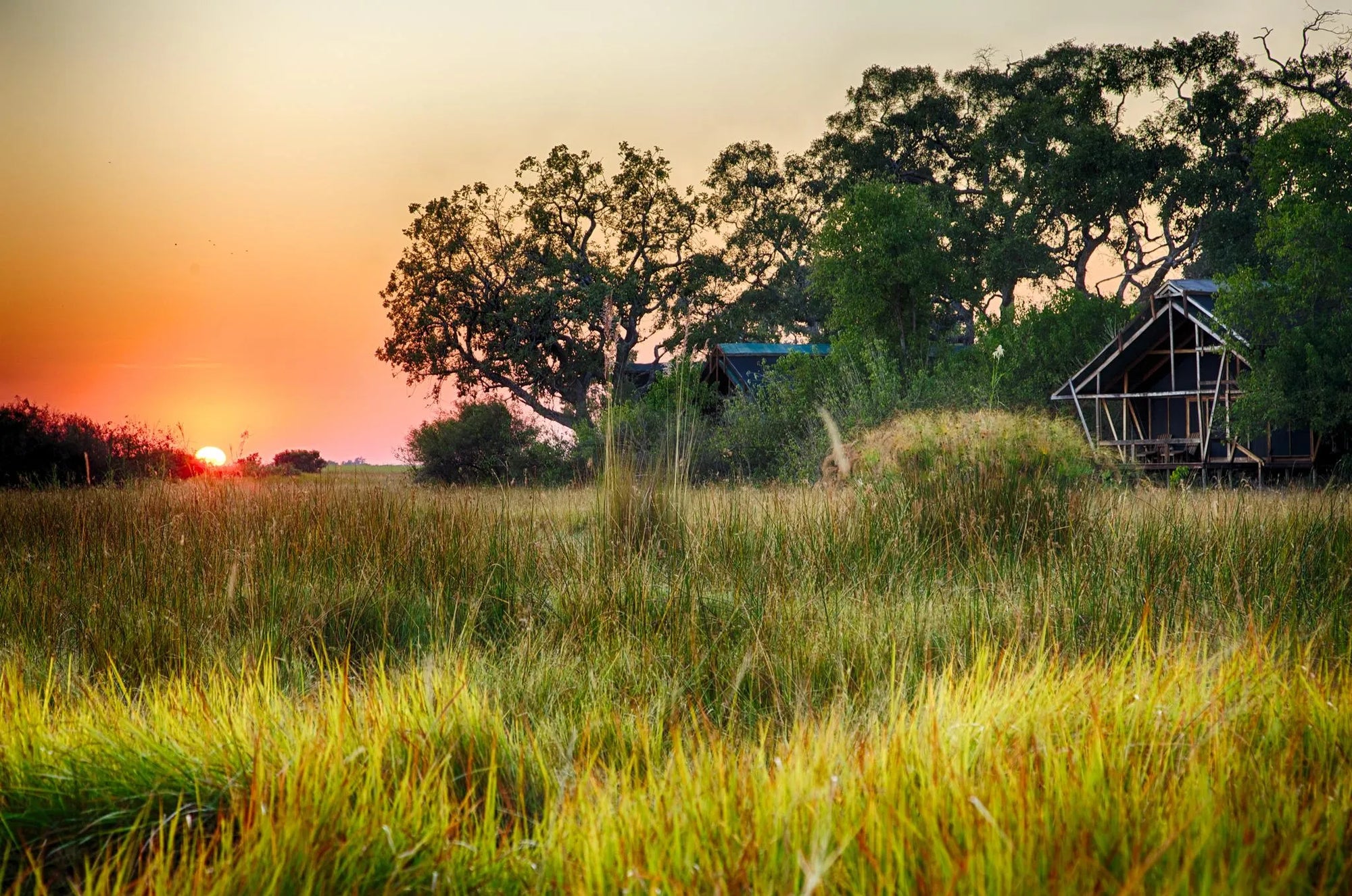 Lebala Camp at Lebala , Kwando Private Reserve, Botswana.