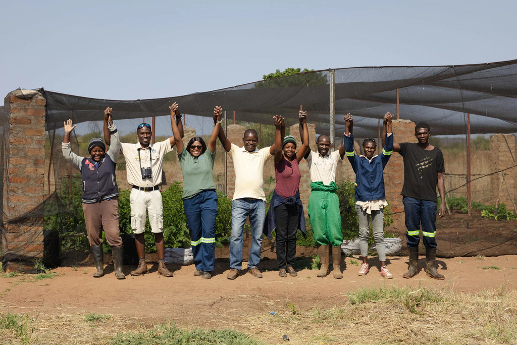 Mukuni Community Farm Visit at Tongabezi Lodge, Victoria Falls (Zambia), Zambia.
