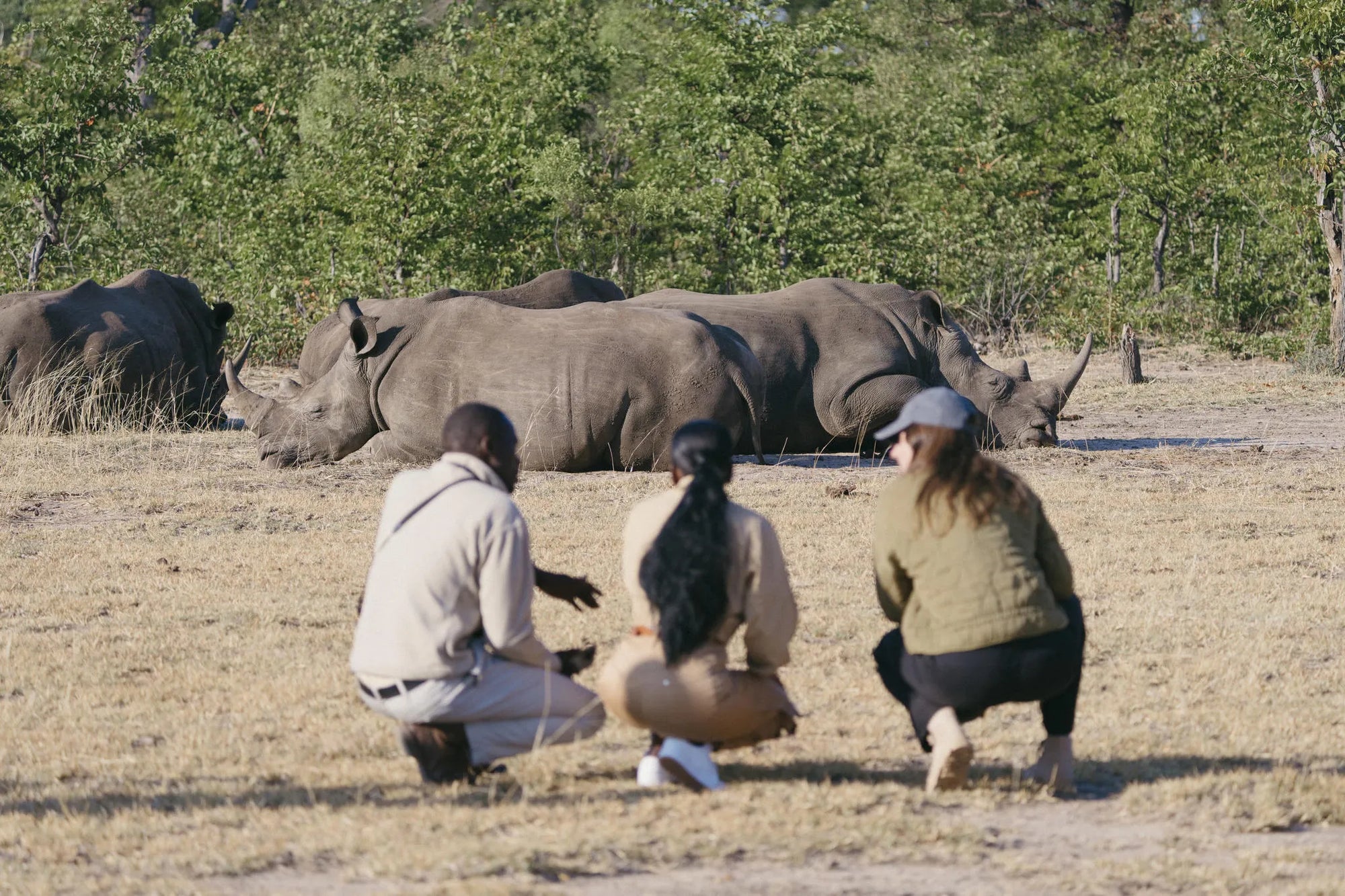 Rhino Walks for Conservation at Tongabezi Lodge, Victoria Falls (Zambia), Zambia.