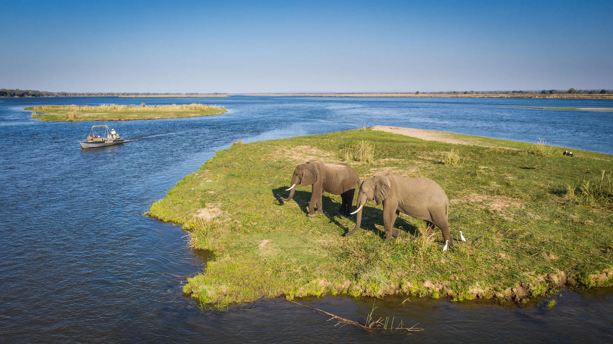 River safaris