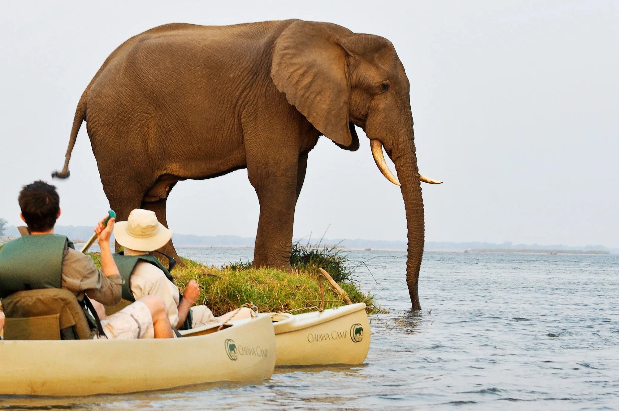 Gallery image 2.