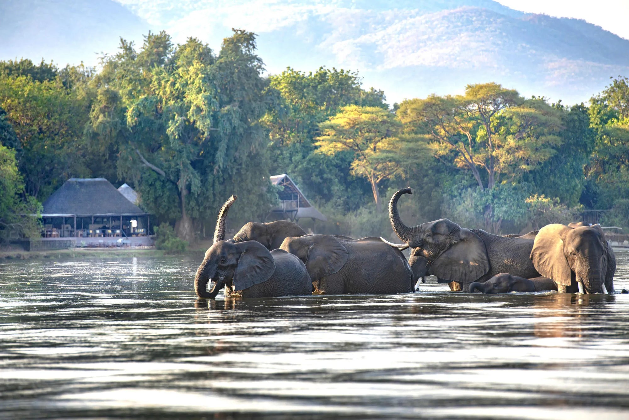 Chiawa Camp - A wildlife paradise at Chiawa Safaris - Chiawa Camp, Lower Zambezi, Zambia.