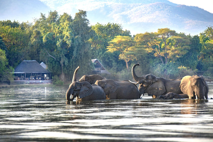 Chiawa Safaris - Chiawa Camp