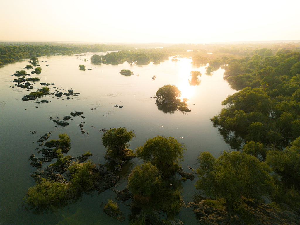 Chobe River