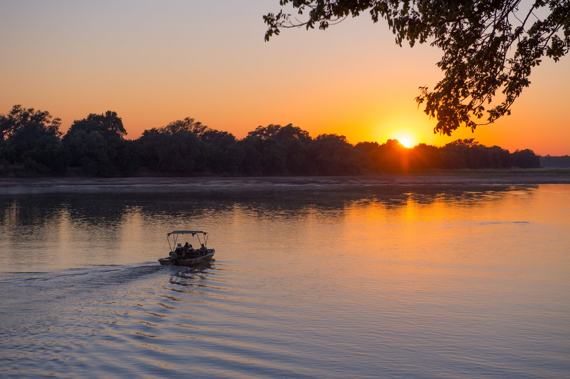 Boating Safari