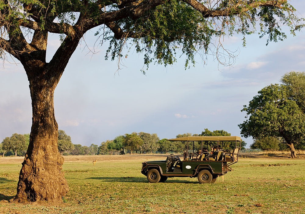 Mfuwe Lodge : Game Drives