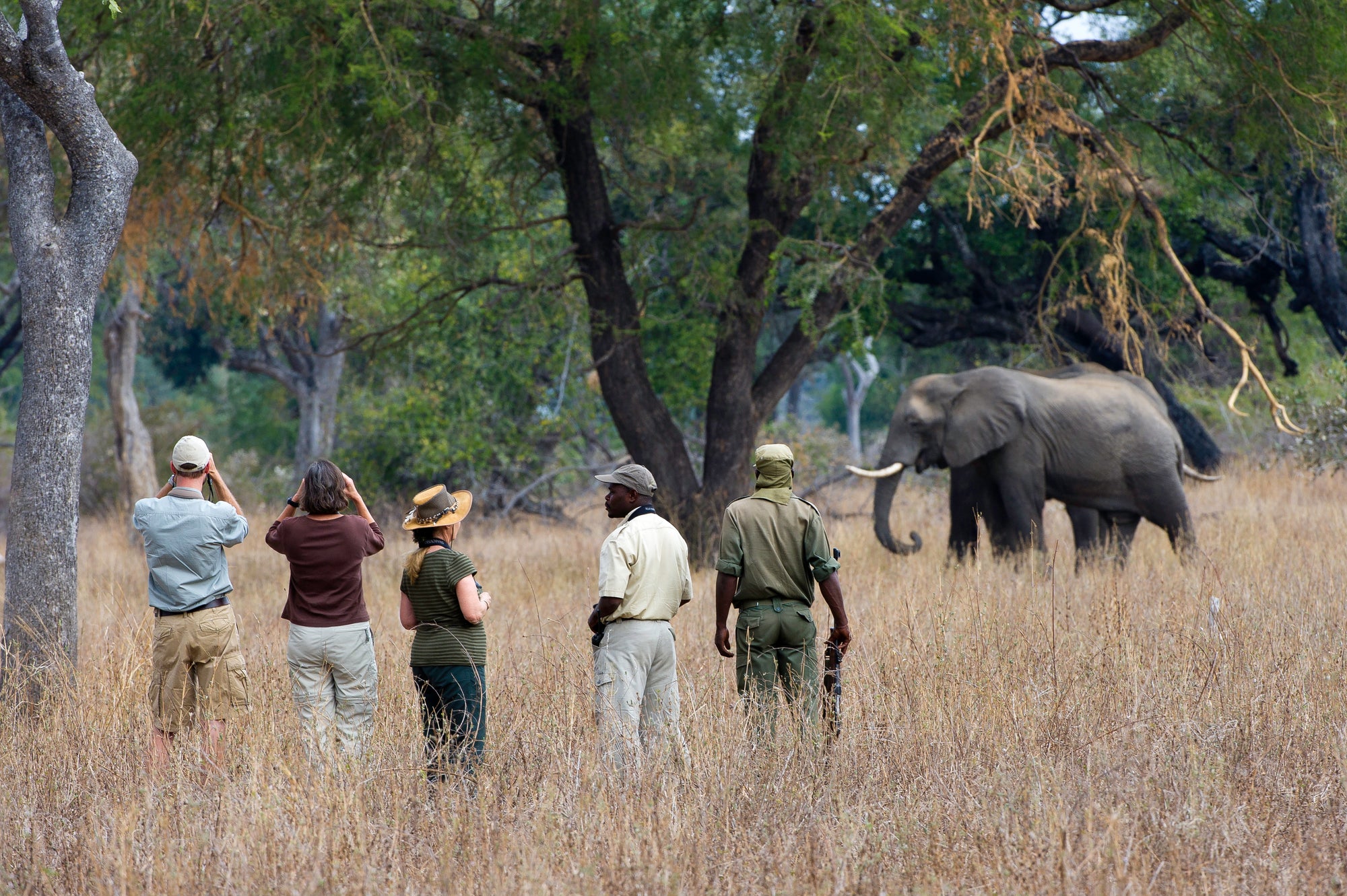 Mfuwe Lodge : Walking Safaris