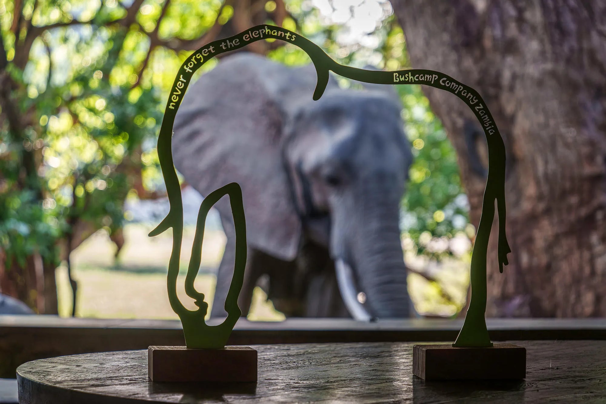 Never Forget the Elephants at Mfuwe Lodge, South Luangwa National Park, Zambia.