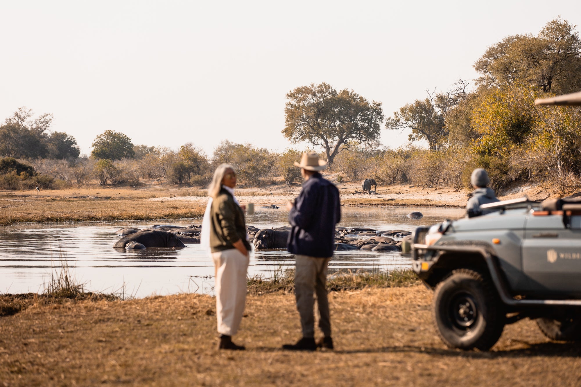 Wilderness Savuti – The Zibadianja Hide (currently under refurbishment)