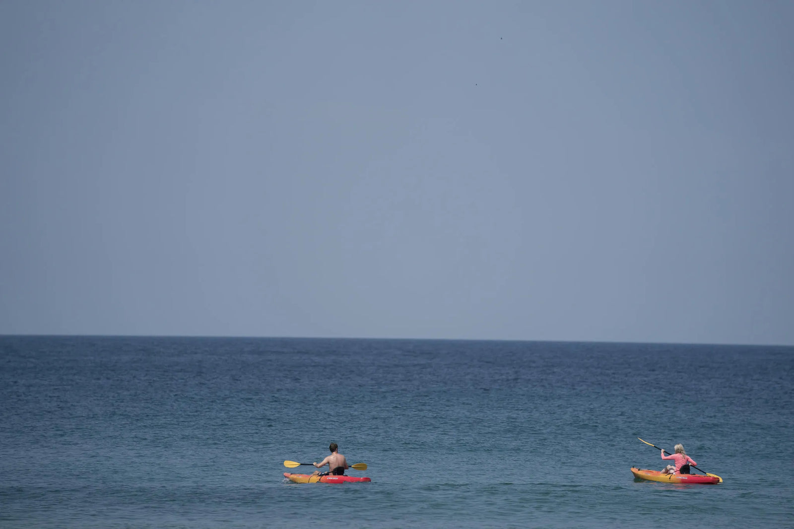 Stand Up Paddle Boarding and Kayaking