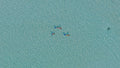 Noonu Atoll Guided Snorkelling gallery image 1