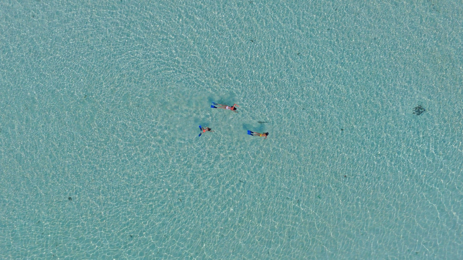 Noonu Atoll Guided Snorkelling
