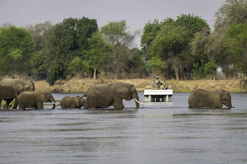 Wilderness Ruckomechi at Wilderness Ruckomechi, Mana Pools National Park, Zimbabwe.