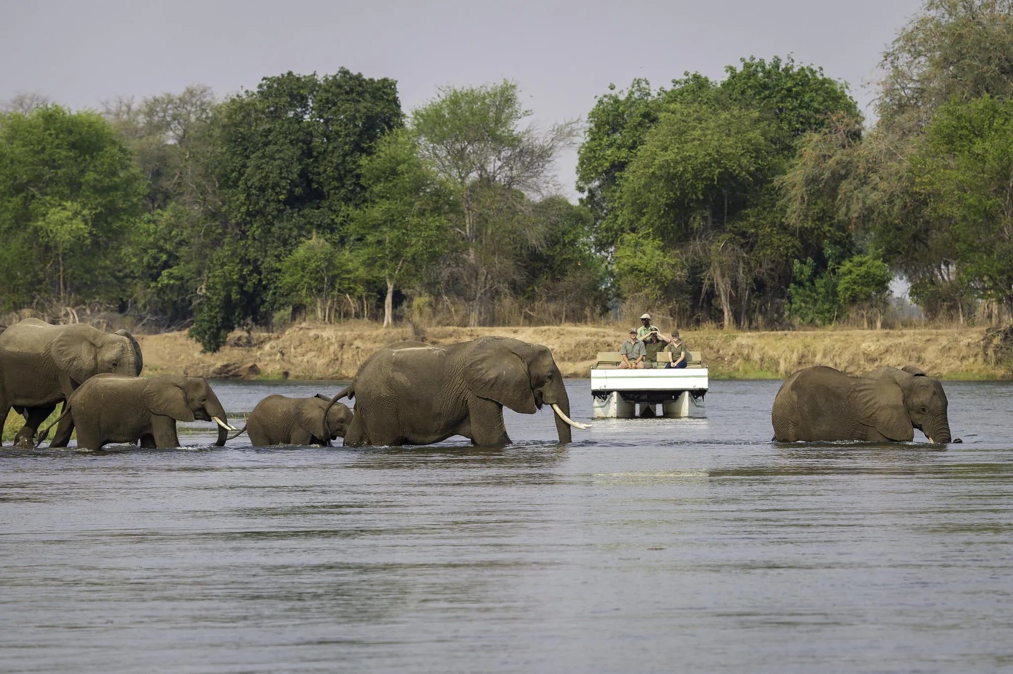 Wilderness Ruckomechi at Wilderness Ruckomechi, Mana Pools National Park, Zimbabwe.