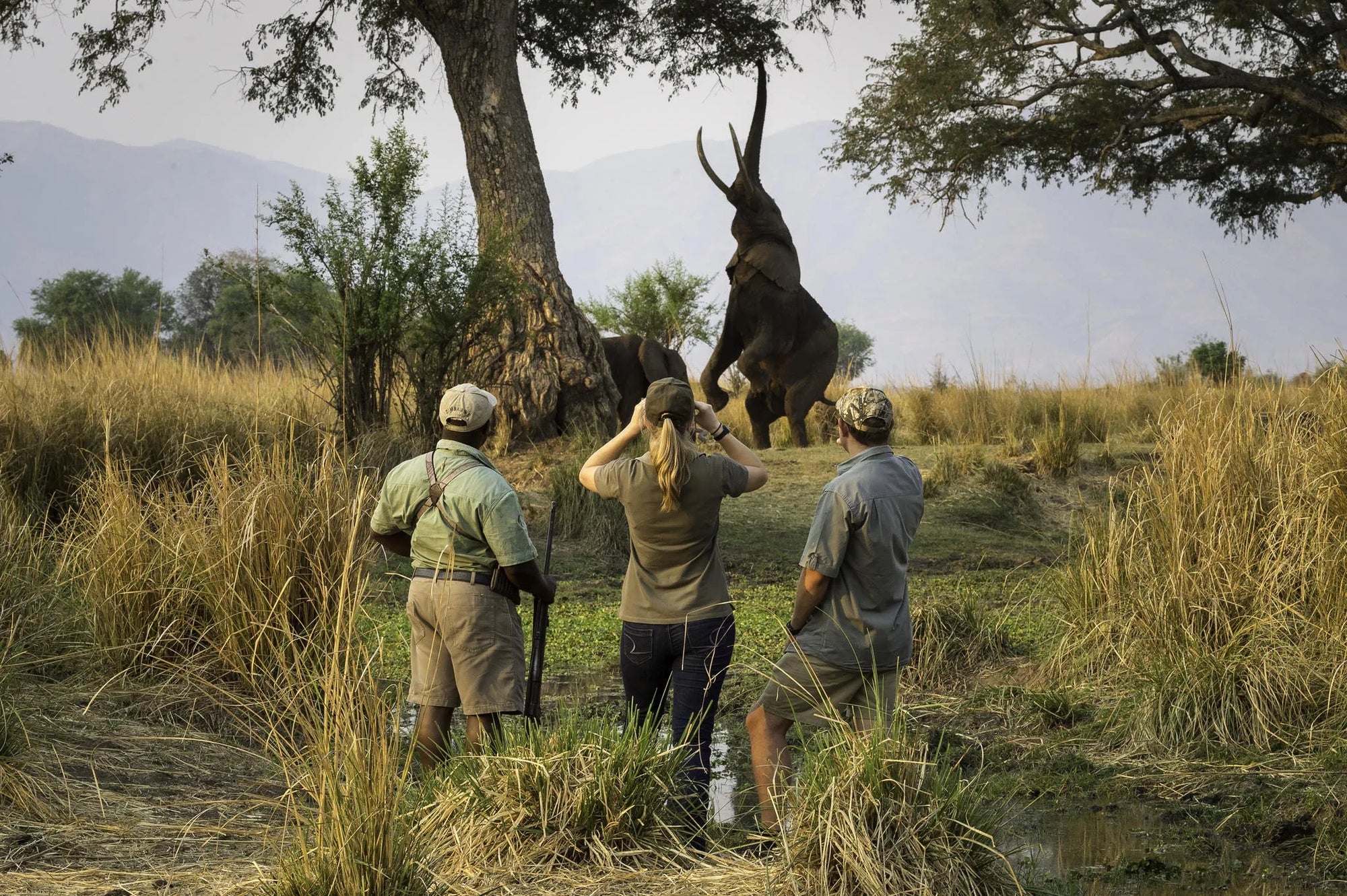 Wilderness Ruckomechi at Wilderness Ruckomechi, Mana Pools National Park, Zimbabwe.