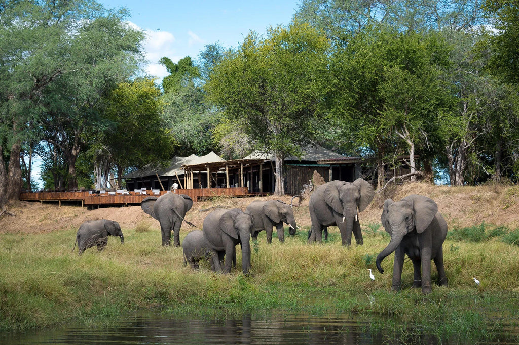 Wilderness Ruckomechi at Wilderness Ruckomechi, Mana Pools National Park, Zimbabwe.