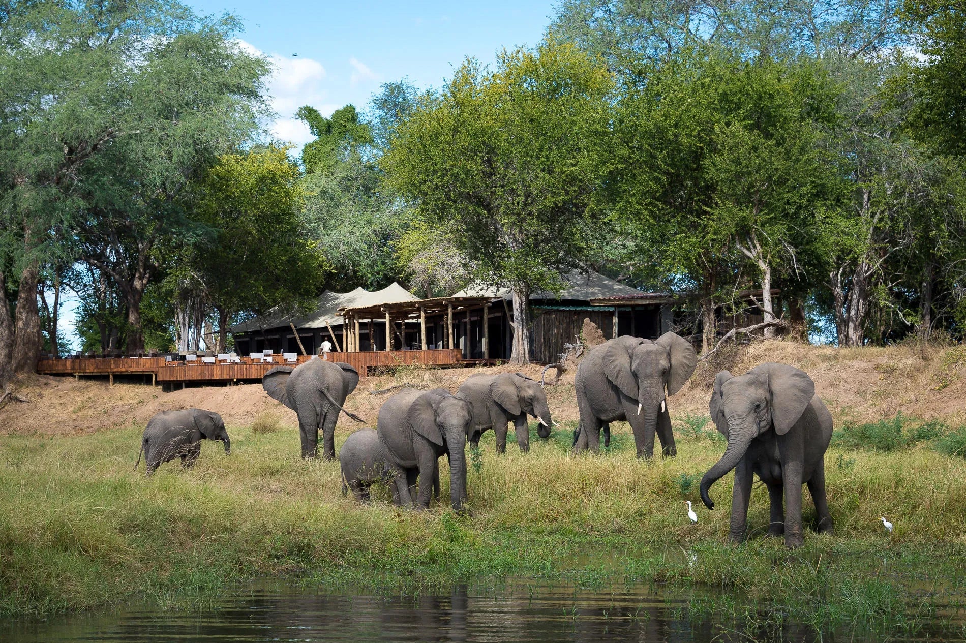 Wilderness Ruckomechi at Wilderness Ruckomechi, Mana Pools National Park, Zimbabwe.