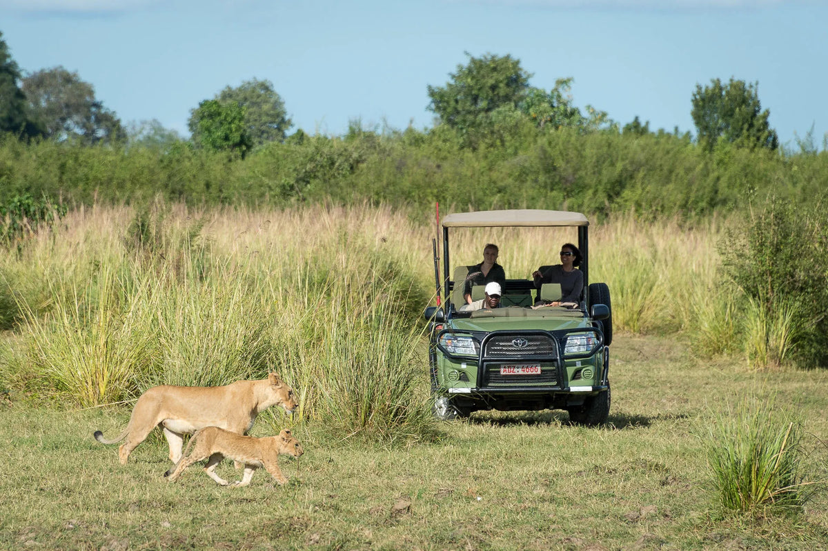 Wilderness Ruckomechi – Game Drives