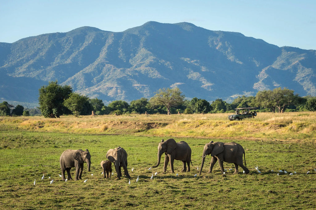 Wilderness Ruckomechi at Wilderness Ruckomechi, Mana Pools National Park, Zimbabwe.