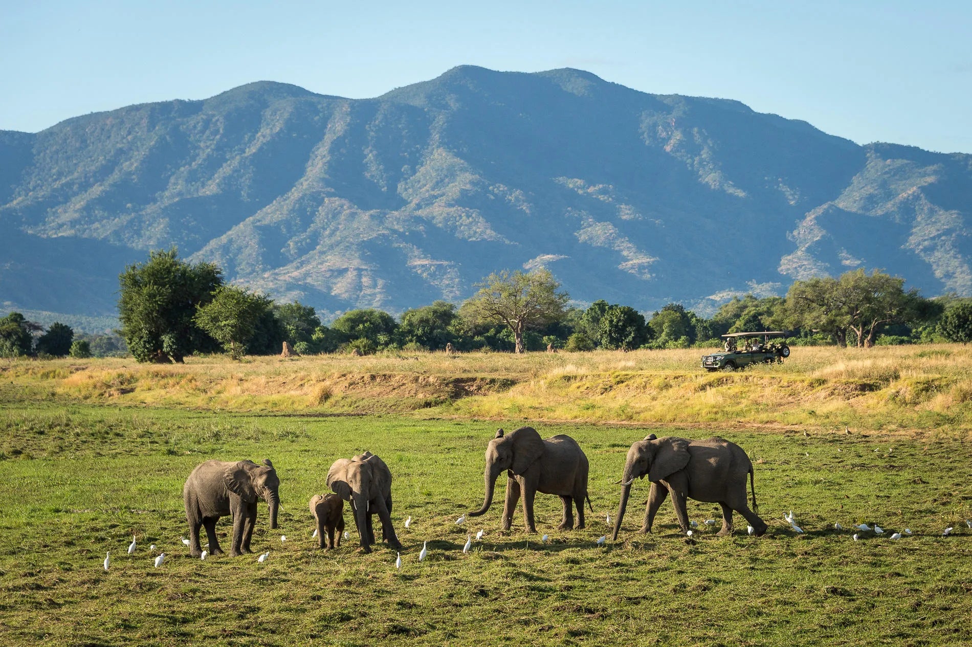 Wilderness Ruckomechi at Wilderness Ruckomechi, Mana Pools National Park, Zimbabwe.