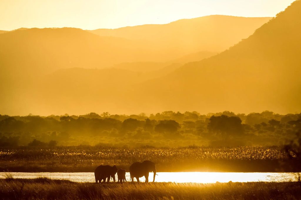 Wilderness Ruckomechi at Wilderness Ruckomechi, Mana Pools National Park, Zimbabwe.