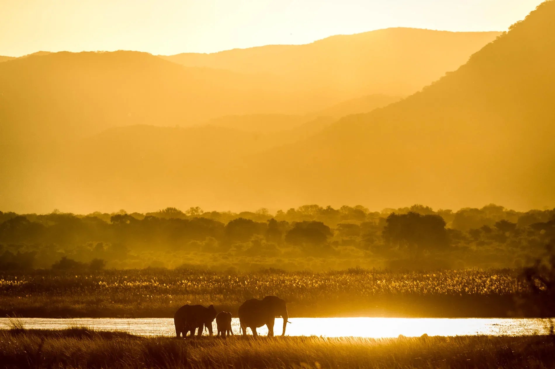 Wilderness Ruckomechi at Wilderness Ruckomechi, Mana Pools National Park, Zimbabwe.