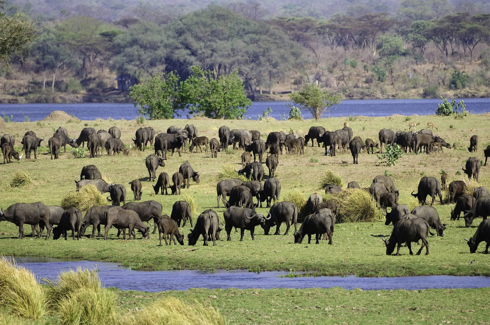 Wilderness Ruckomechi at Wilderness Ruckomechi, Mana Pools National Park, Zimbabwe.