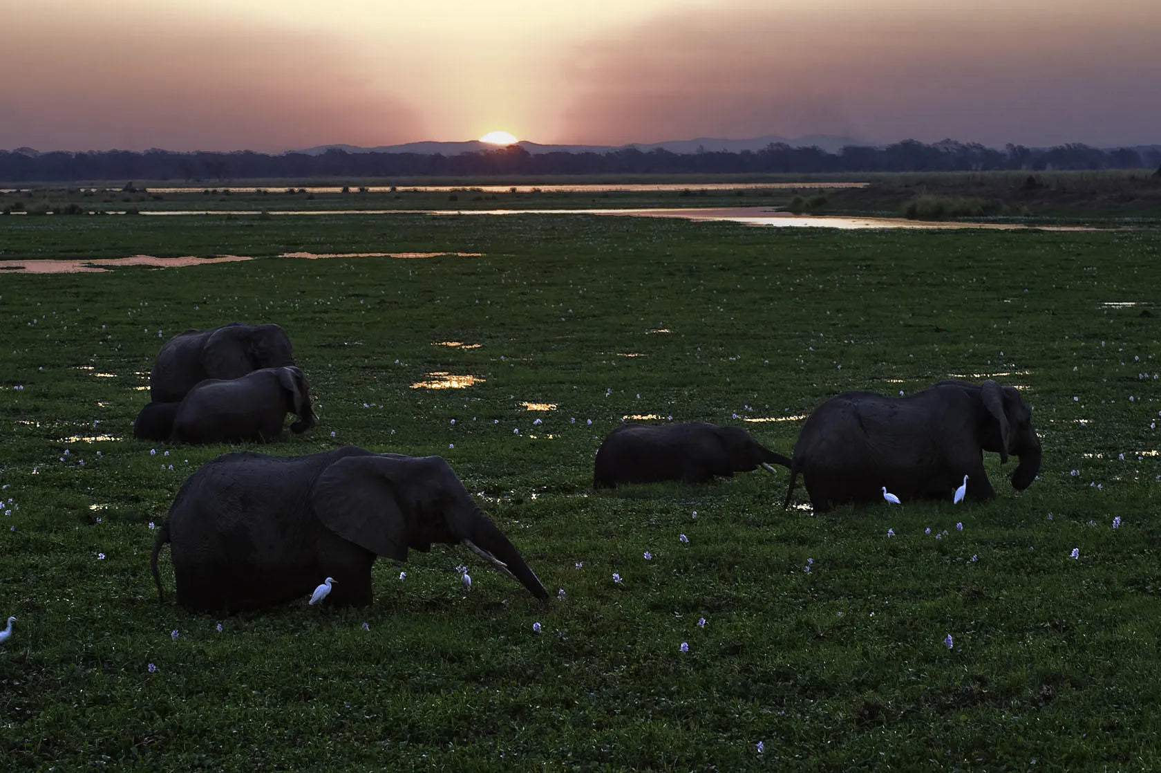 Wilderness Ruckomechi at Wilderness Ruckomechi, Mana Pools National Park, Zimbabwe.