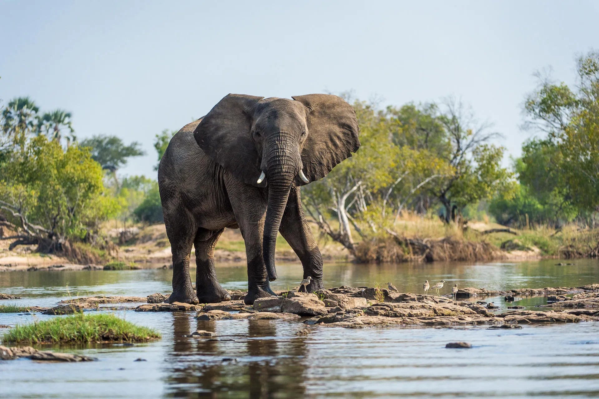 Toka Leya Camp at Wilderness Toka Leya, Livingstone, Zambia.