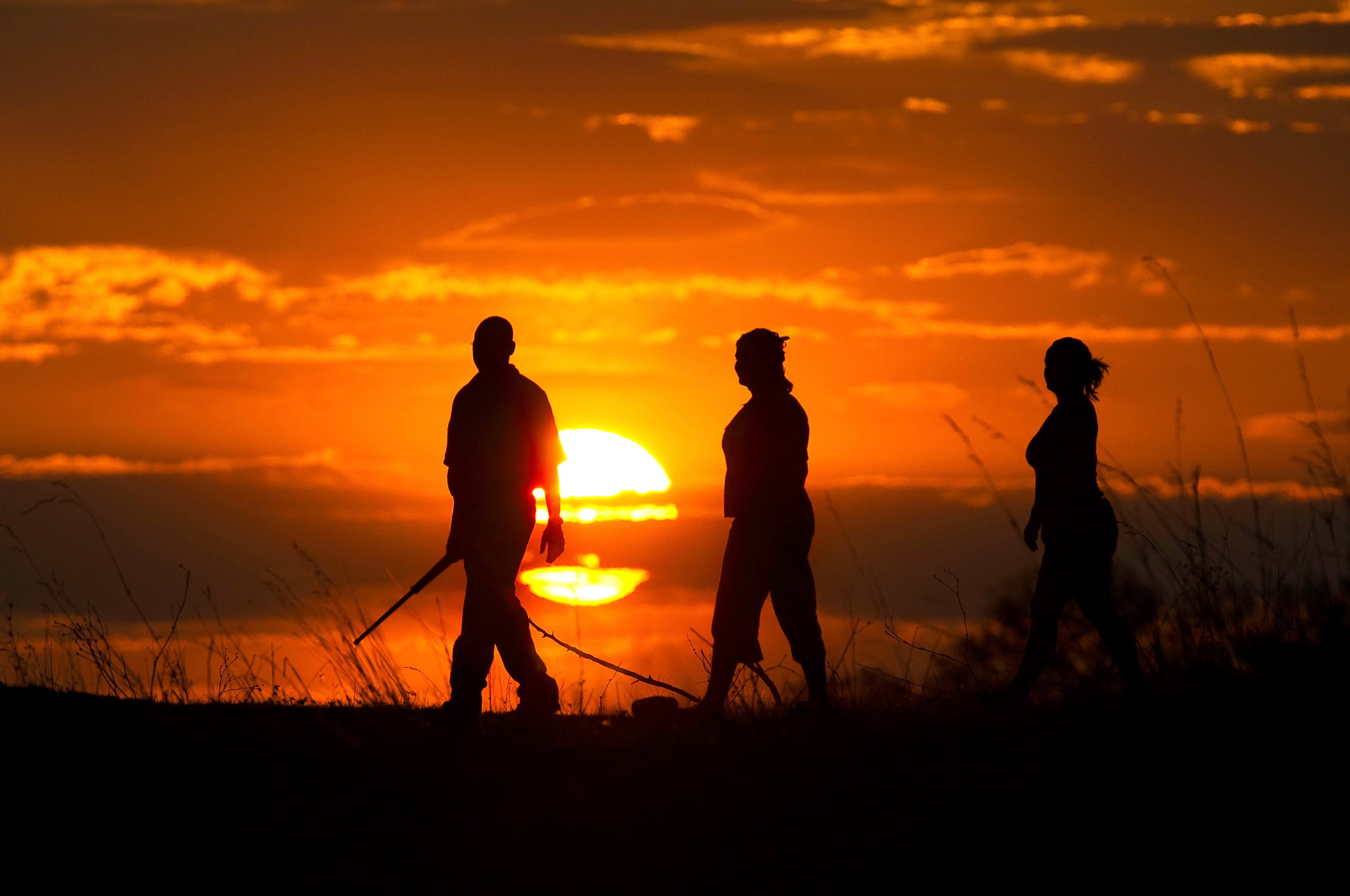 Bush Walks at Selinda Camp