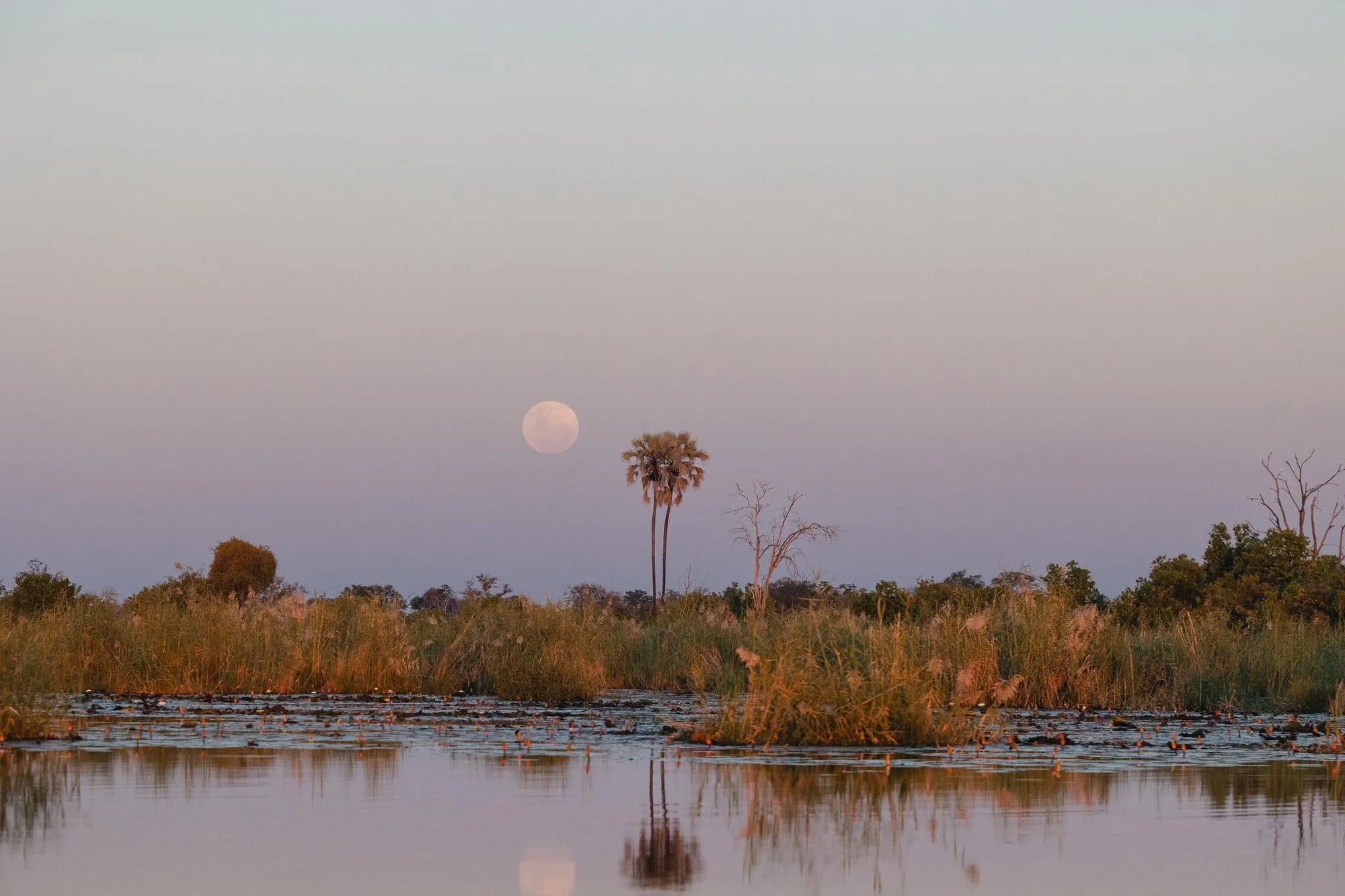 Wilderness DumaTau at Wilderness DumaTau, Linyanti Concession, Botswana.
