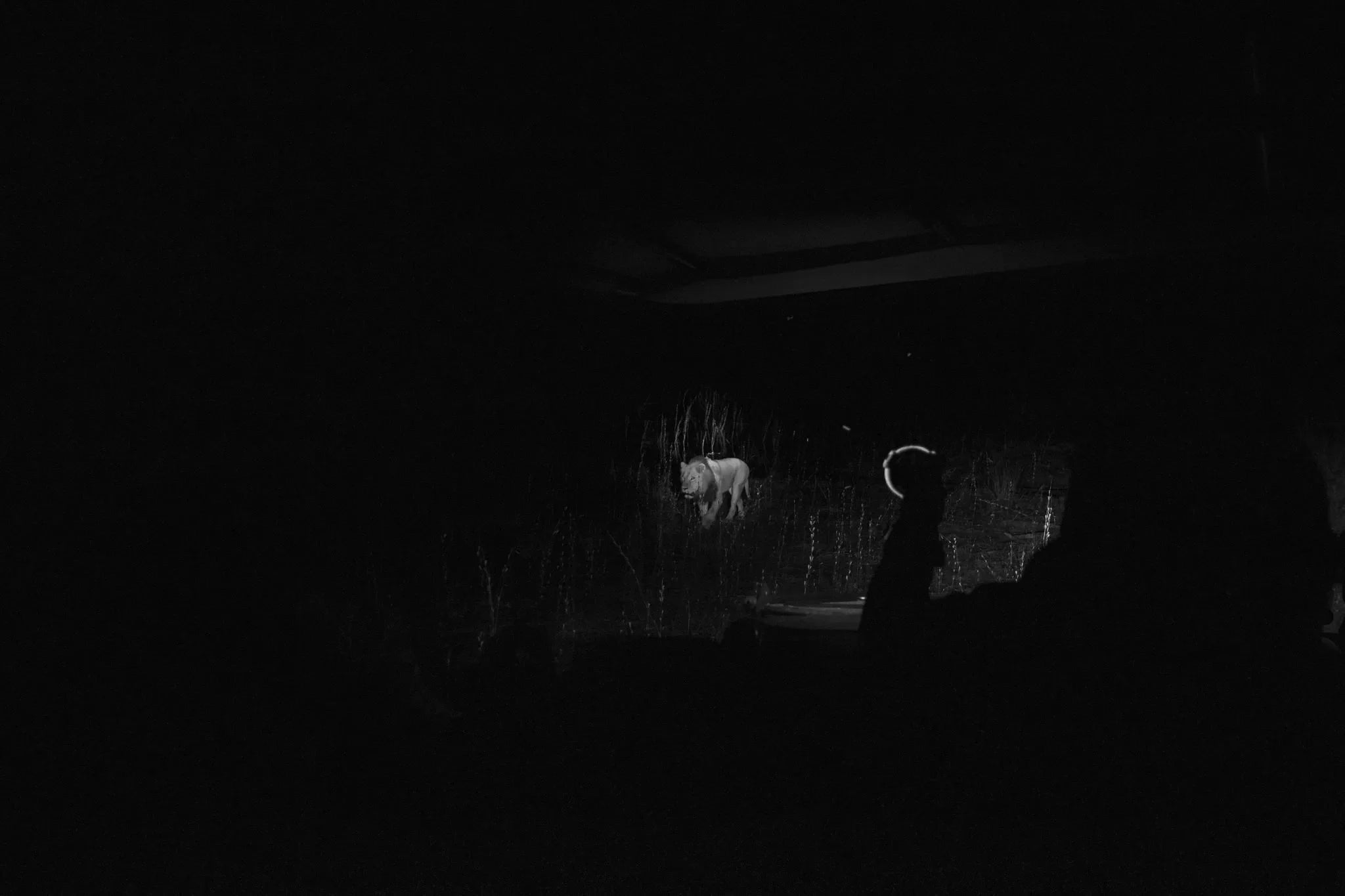 Gallery image 2.