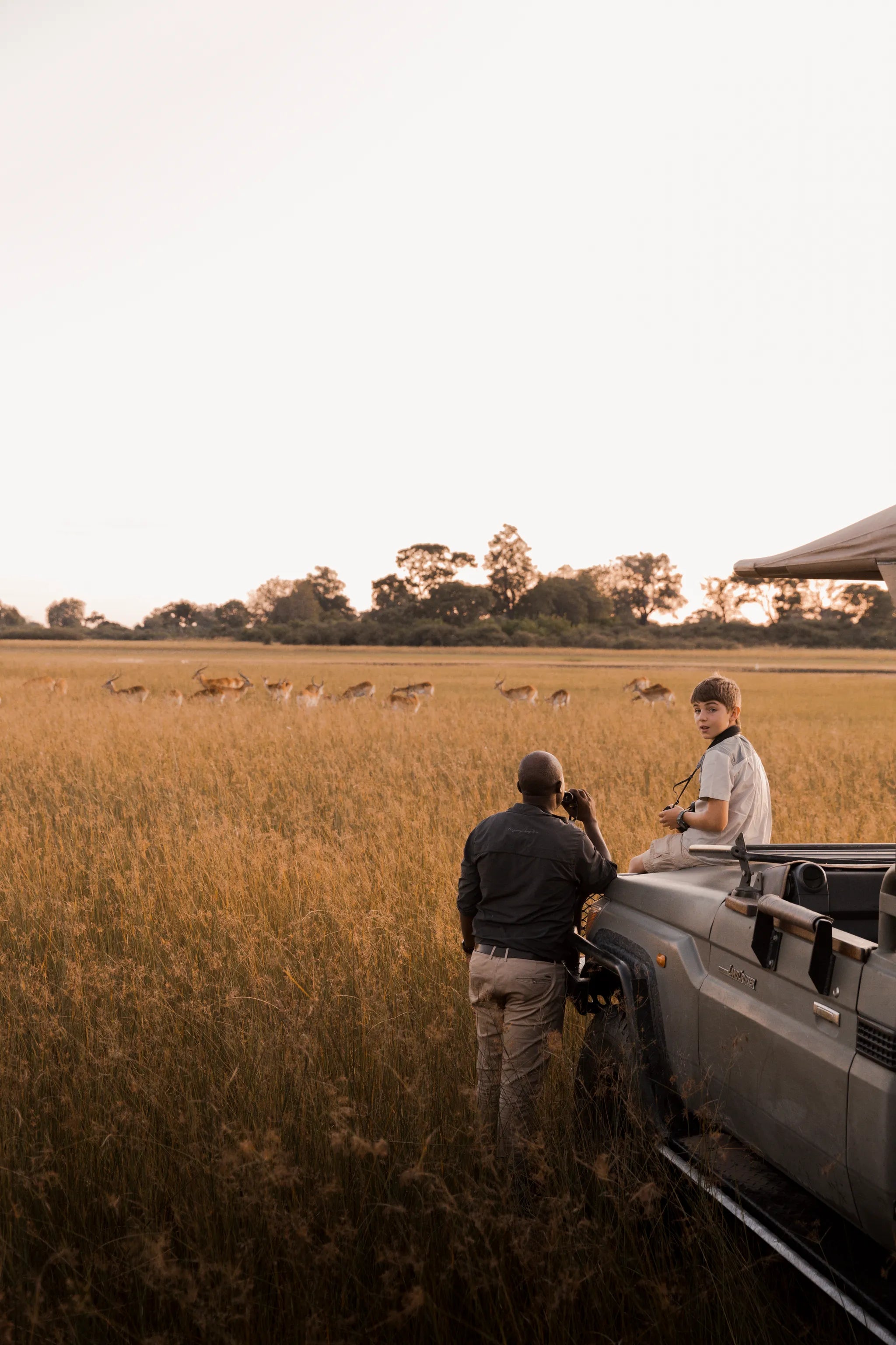 Room gallery image 9.