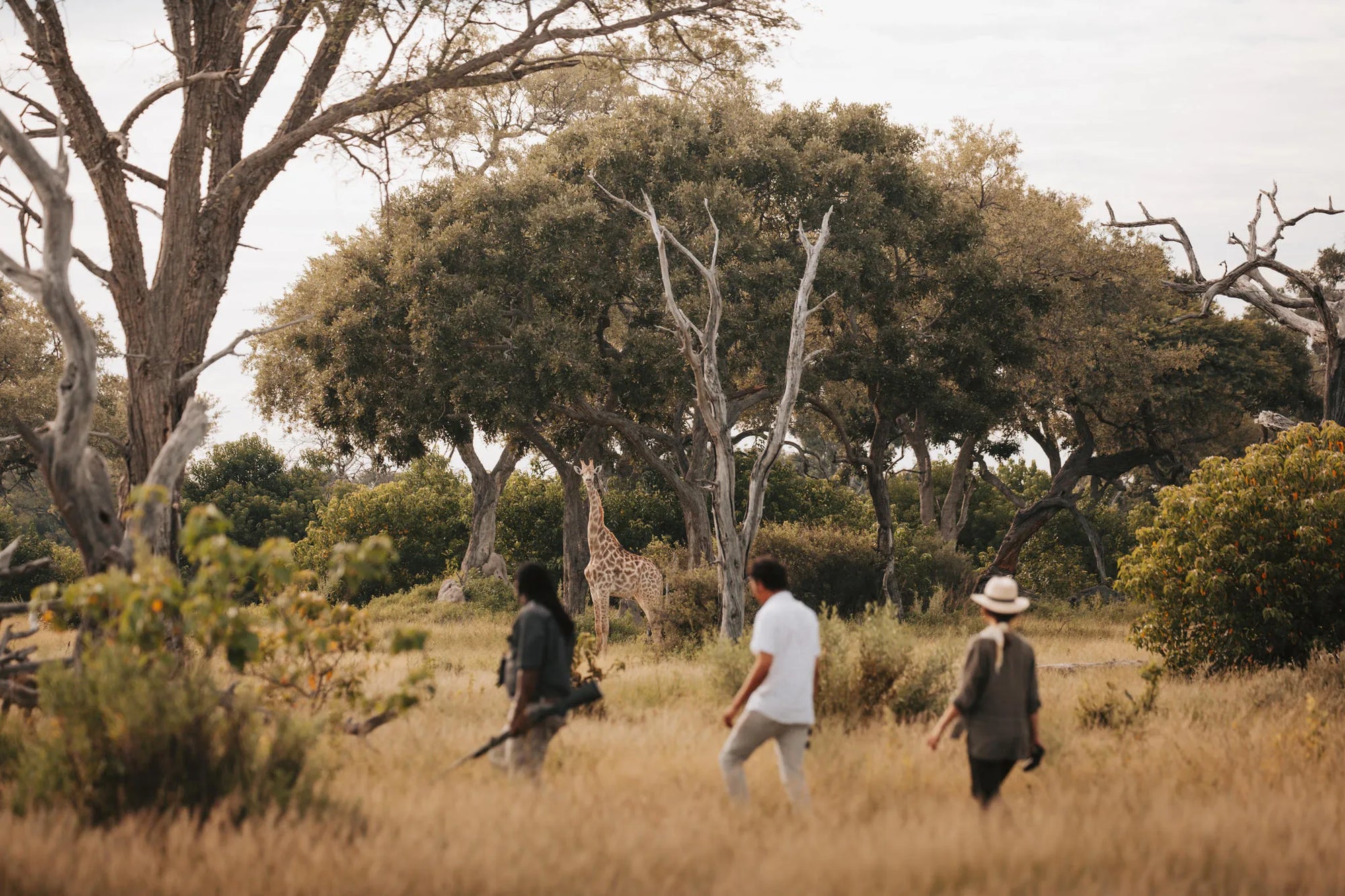 Wilderness Vumbura Plains at Wilderness Vumbura Plains, Okavango Delta, Botswana.