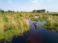 Featured image.