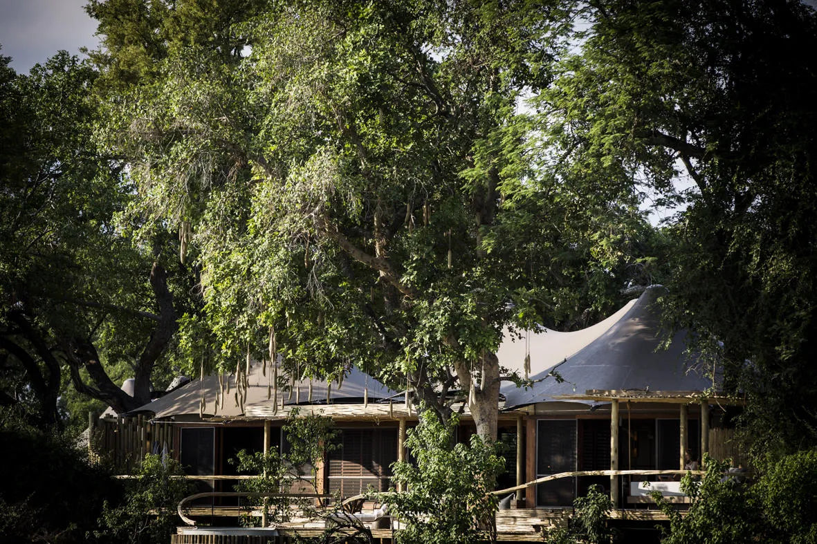Wilderness Little Mombo at Wilderness Little Mombo, Okavango Delta, Botswana.