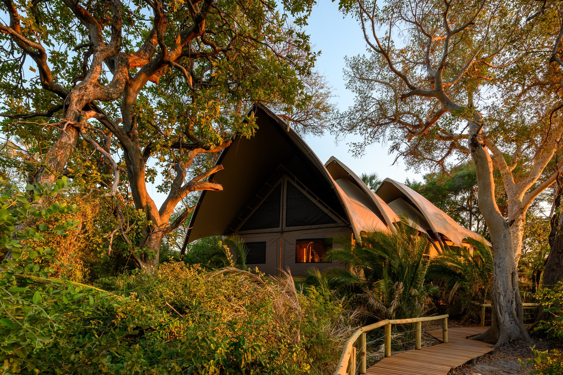 Jacana Camp
