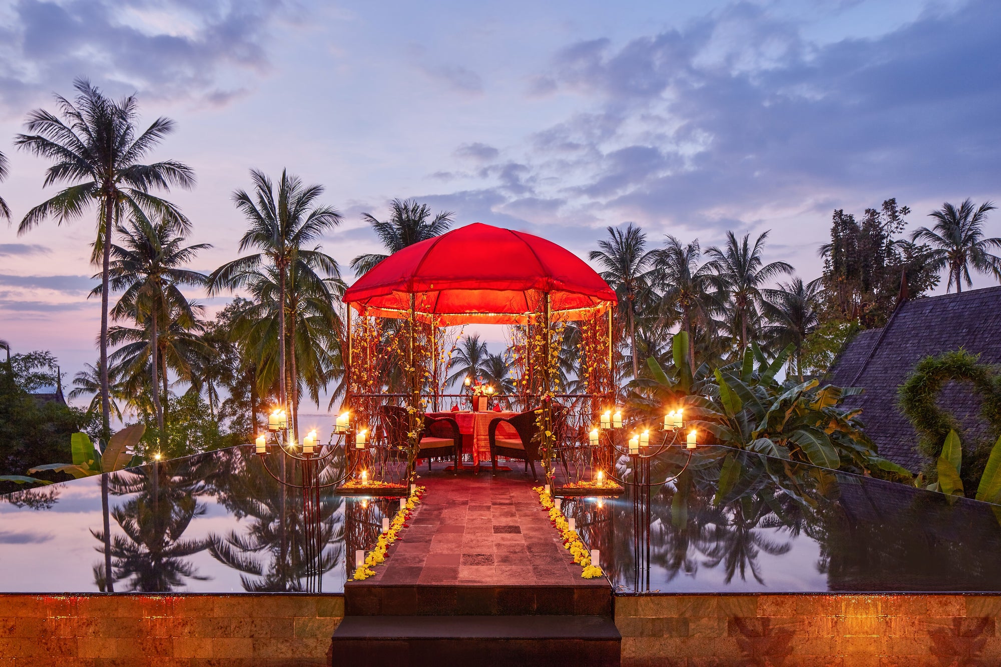 Kupu Kupu Phangan