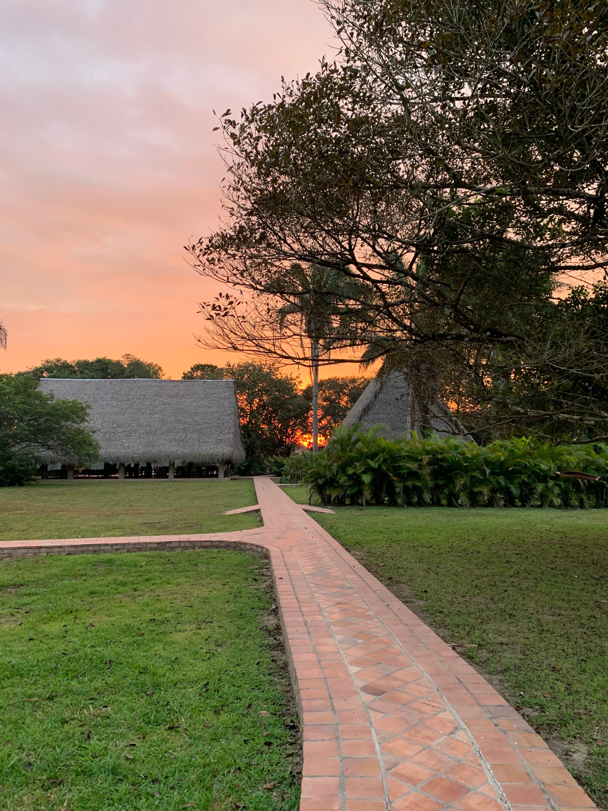 Savanna Orinoquia Lodge