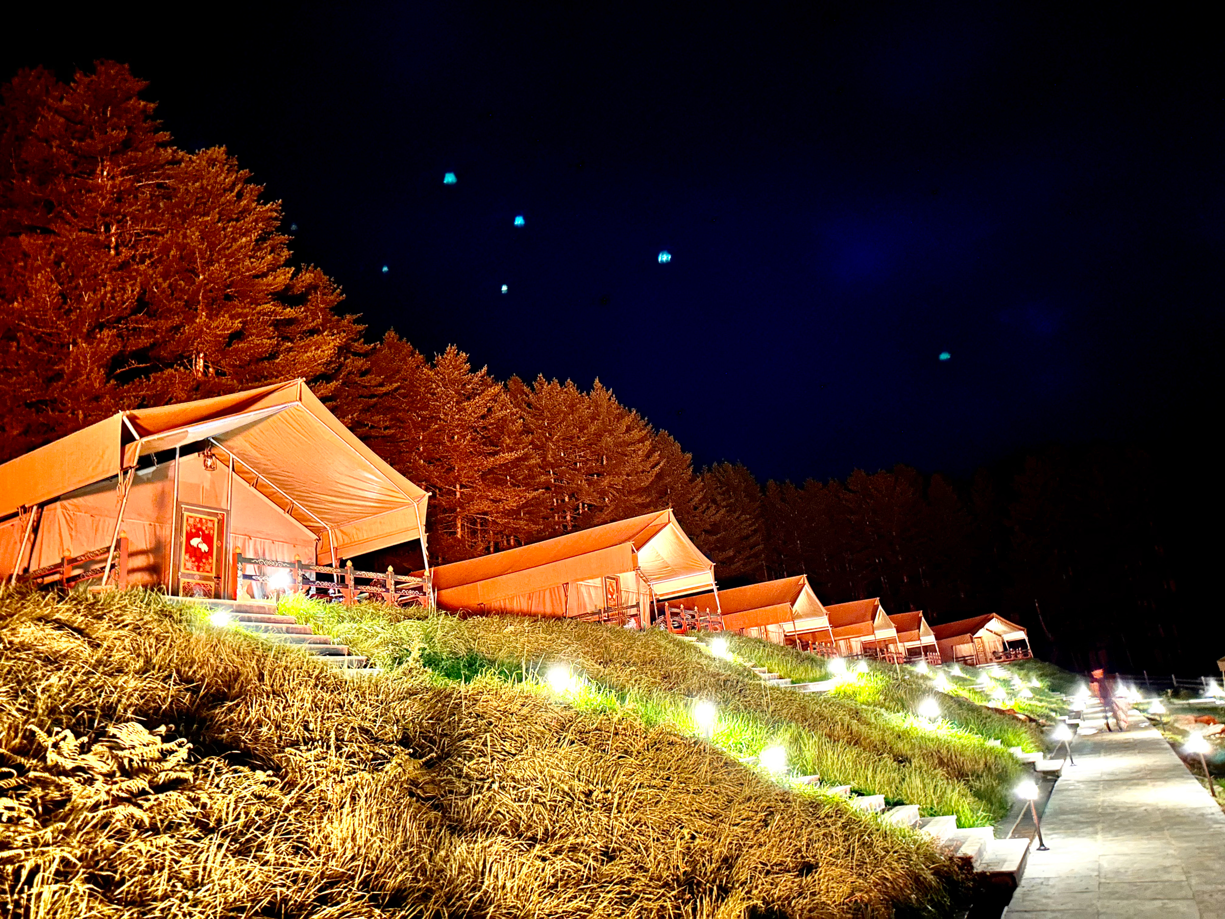 Gangtey Tent Resort