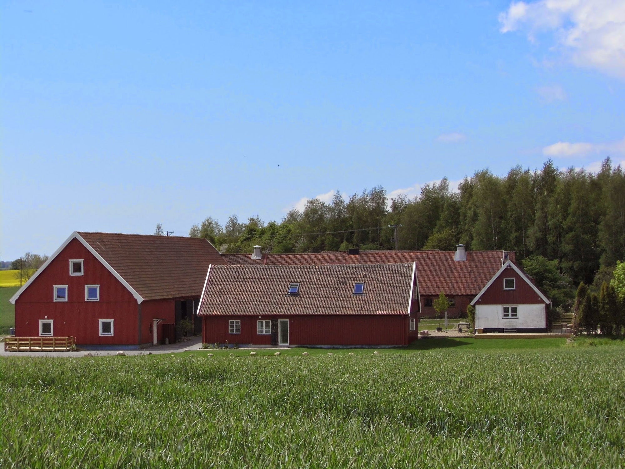 Red Bird Farm