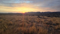 Loapi, Tswalu