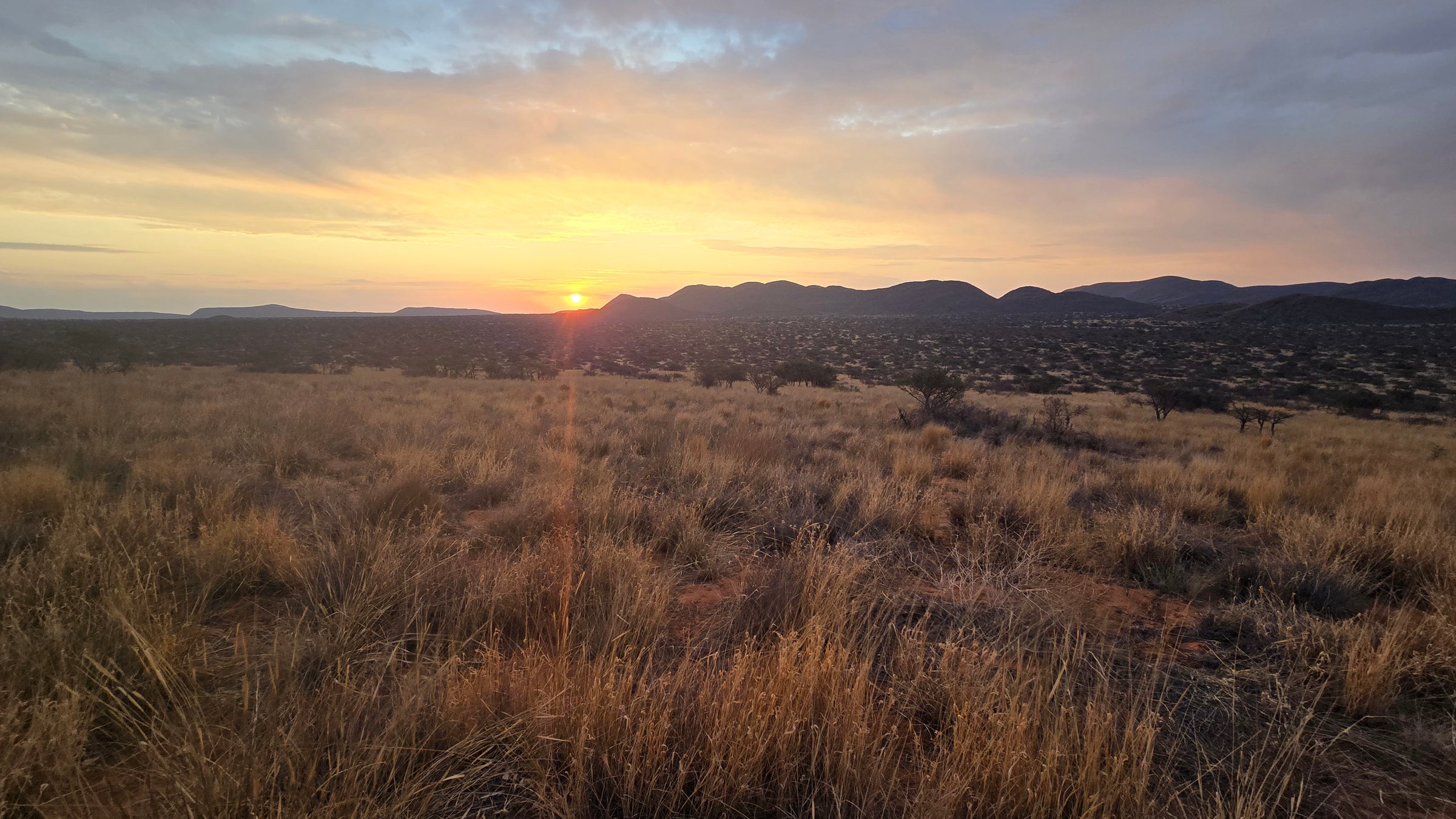 Loapi, Tswalu