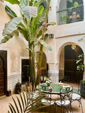 Riad Al Mamoune