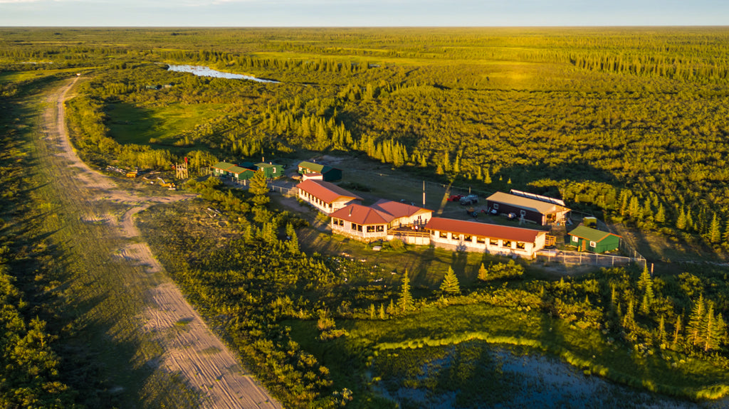 Nanuk Polar Bear Lodge