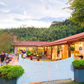 Alishan Tea Garden B&B