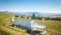 Dragons Landing Guest Farm and Horse Trails