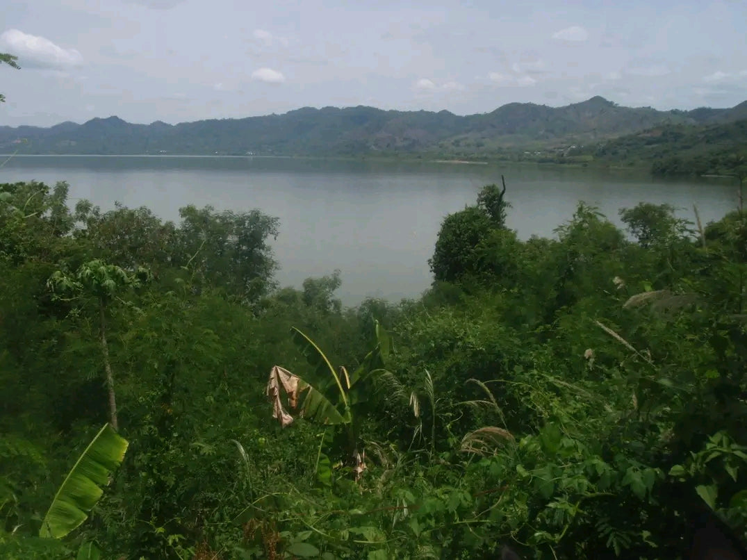 The Green Ranch Lake Bosomtwe
